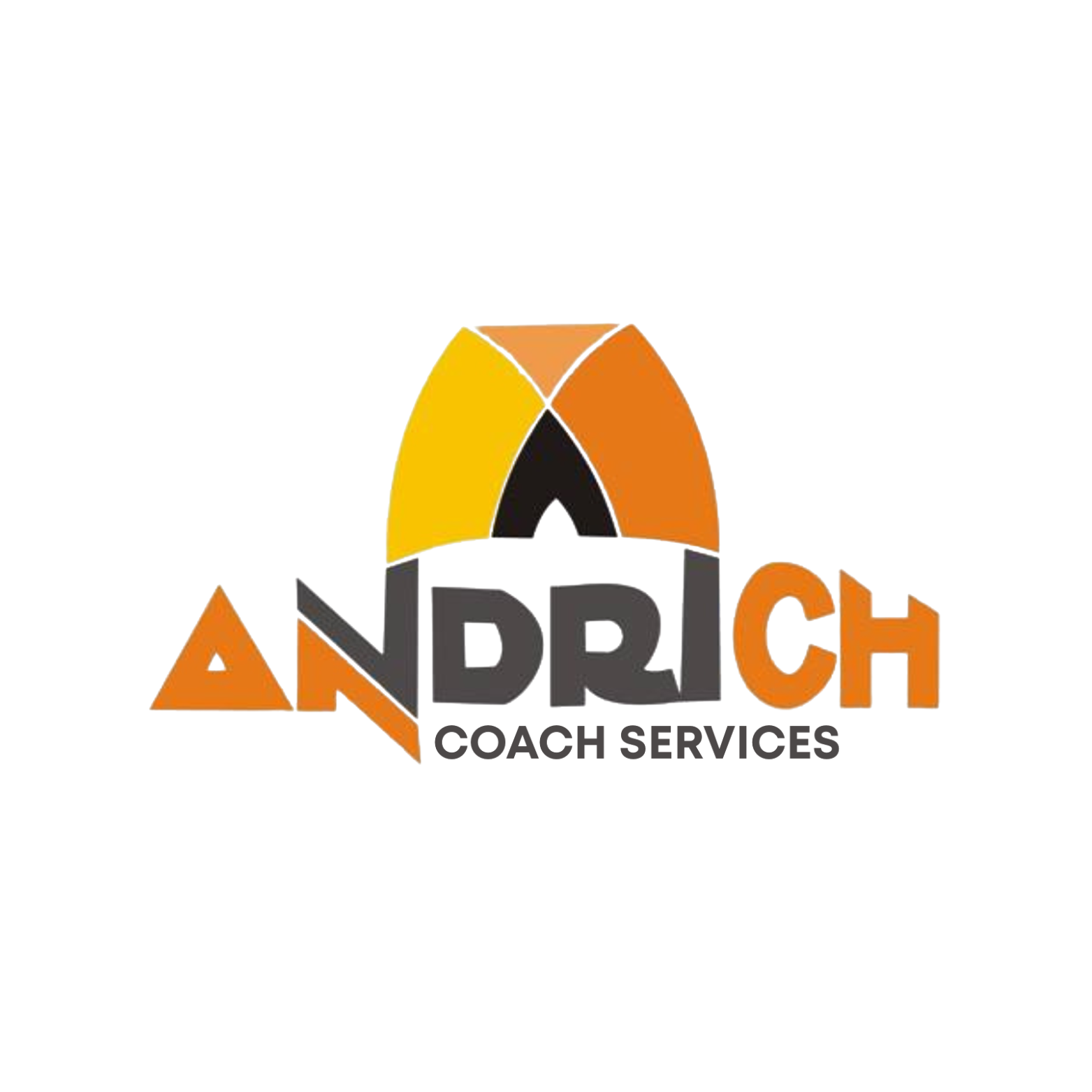 Andri-CH Logo